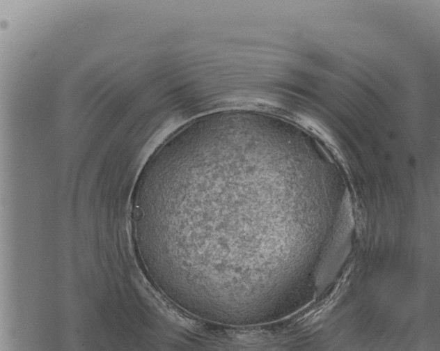 X0000068830899200605121338