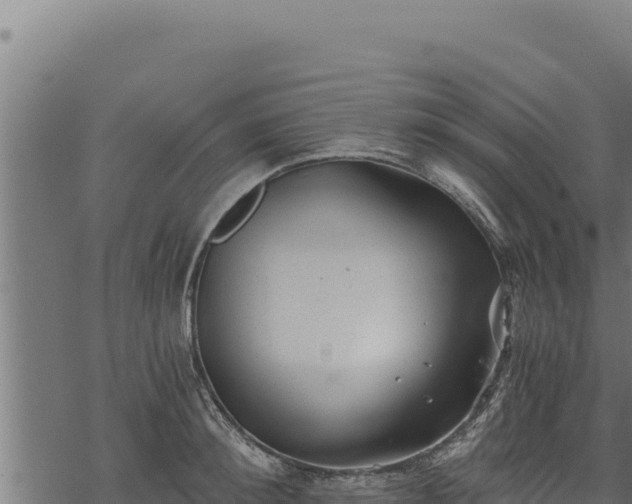 X0000068830900200605121338