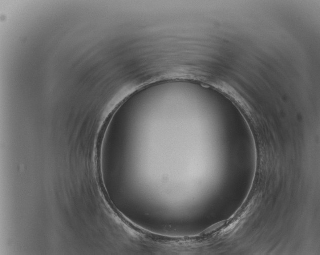 X0000068830902200605121338