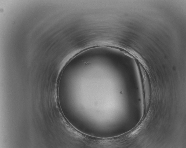 X0000068830904200605121338