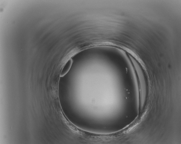 X0000068830905200605121338