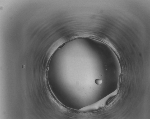 X0000068830906200605121338