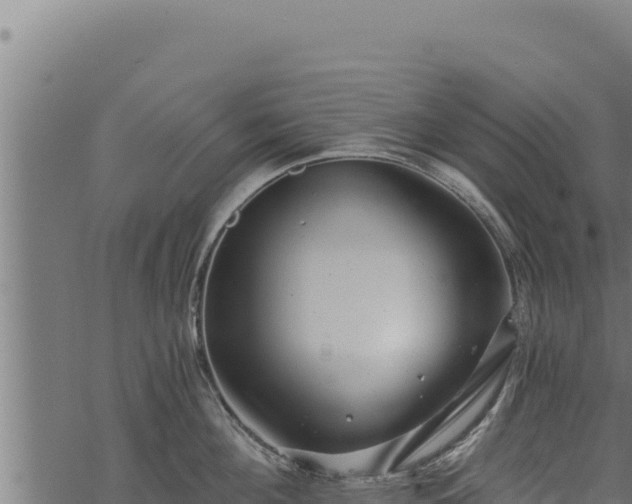 X0000068830908200605121338