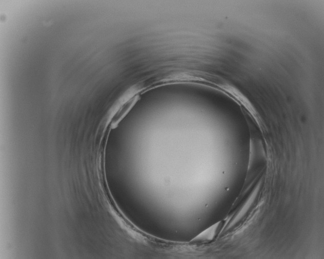 X0000068830909200605121338