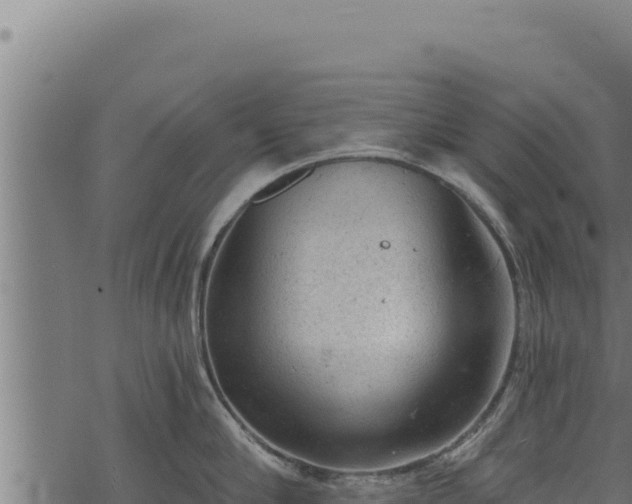 X0000068830910200605121338