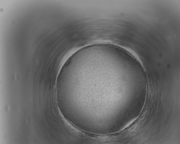 X0000068830911200605121338