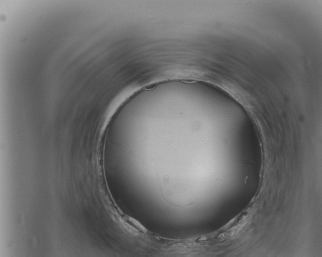 X0000068830912200605121338