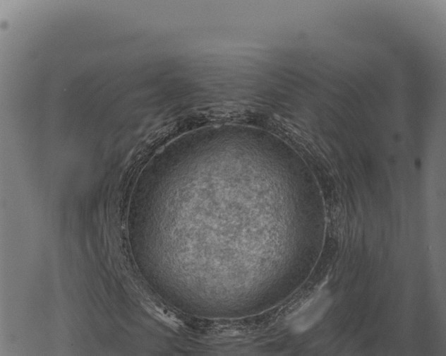 X0000068830913200605121337