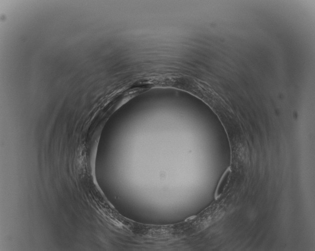 X0000068830914200605121337