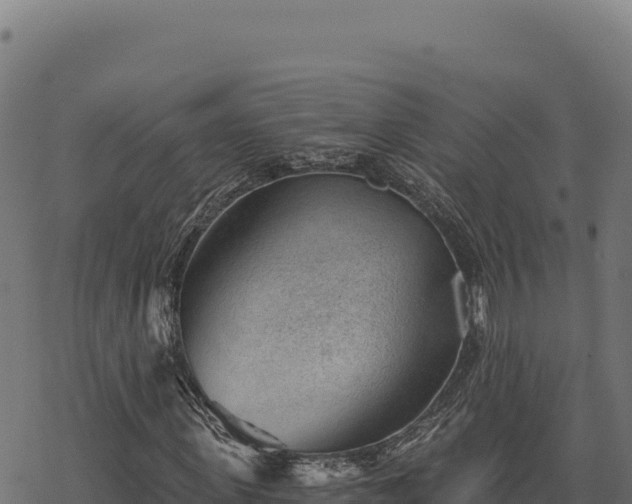 X0000068830915200605121337