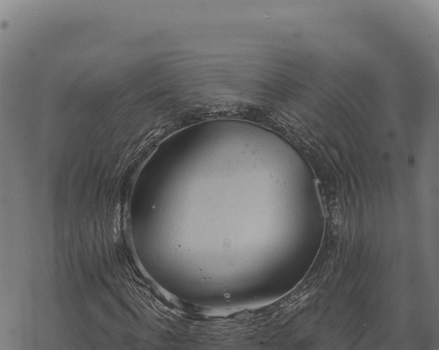 X0000068830916200605121337