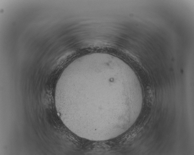 X0000068830918200605121337