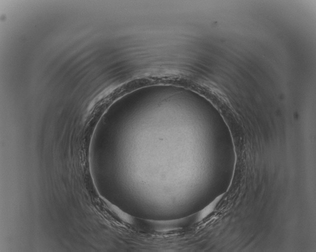 X0000068830920200605121337