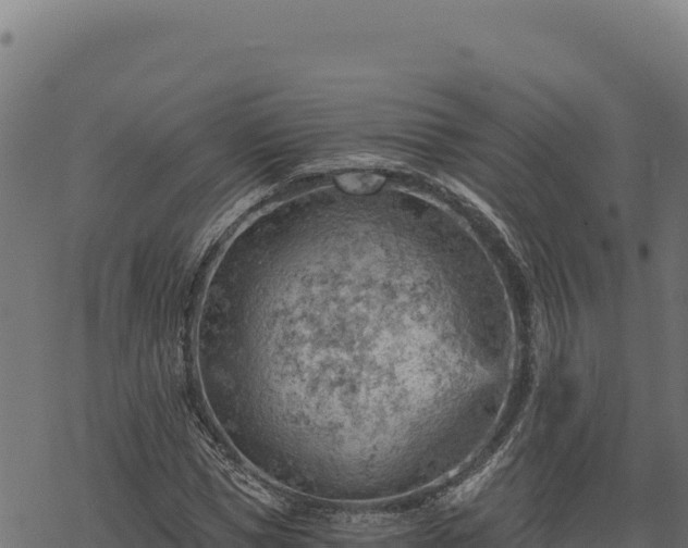 X0000068830921200605121337