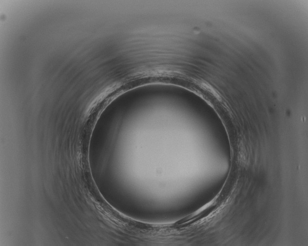 X0000068830922200605121337