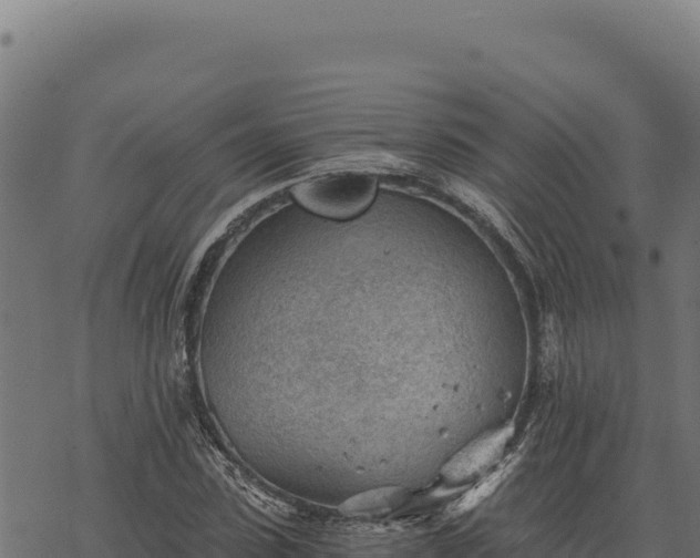 X0000068830923200605121337