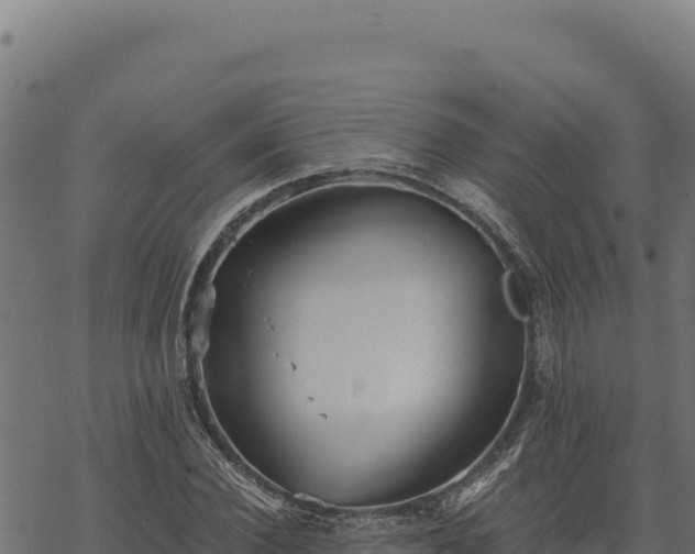 X0000068830924200605121337