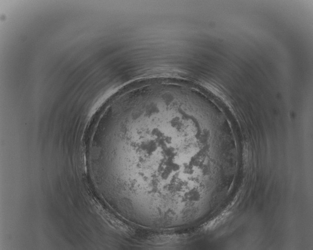 X0000068830925200605121337