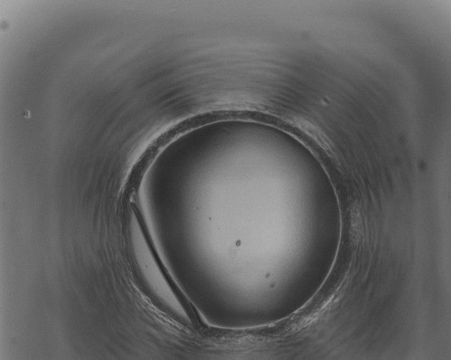 X0000068830926200605121337