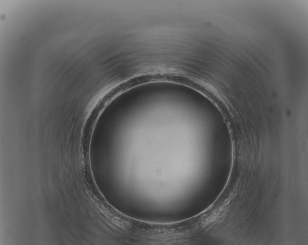 X0000068830927200605121337