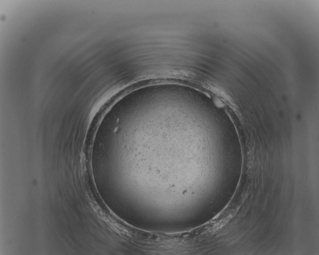 X0000068830928200605121337