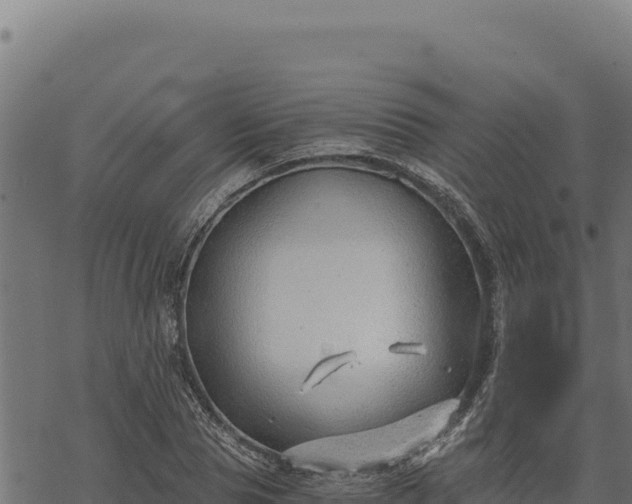 X0000068830929200605121337