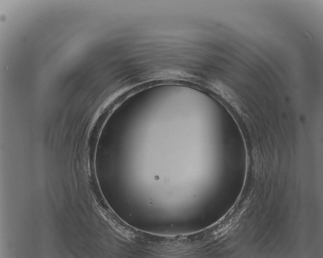 X0000068830931200605121337