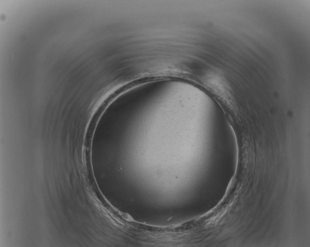 X0000068830932200605121337