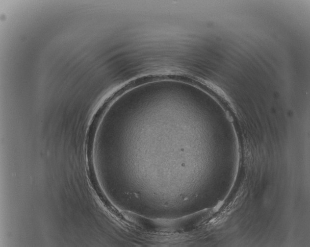 X0000068830935200605121337