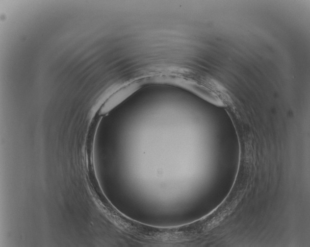 X0000068830936200605121337