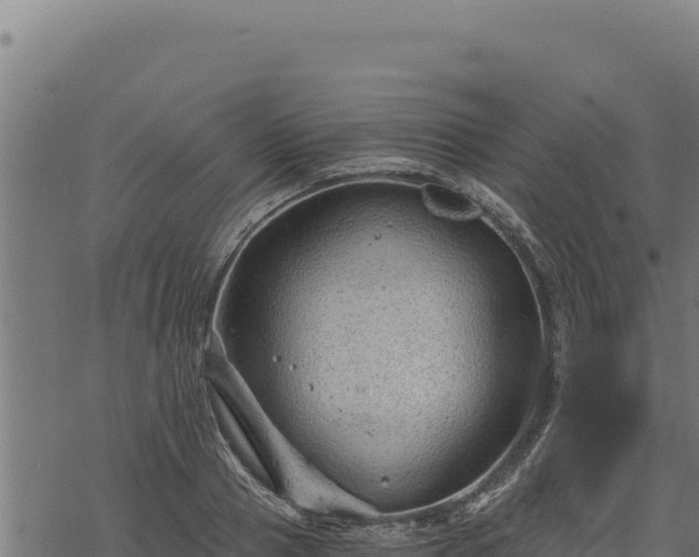 X0000068830937200605121337