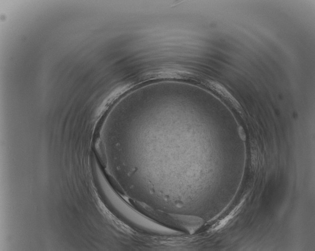 X0000068830938200605121337