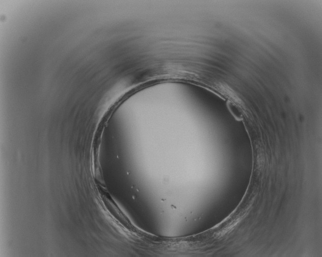 X0000068830940200605121337