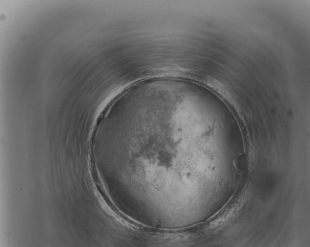 X0000068830941200605121337