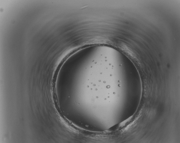 X0000068830942200605121337