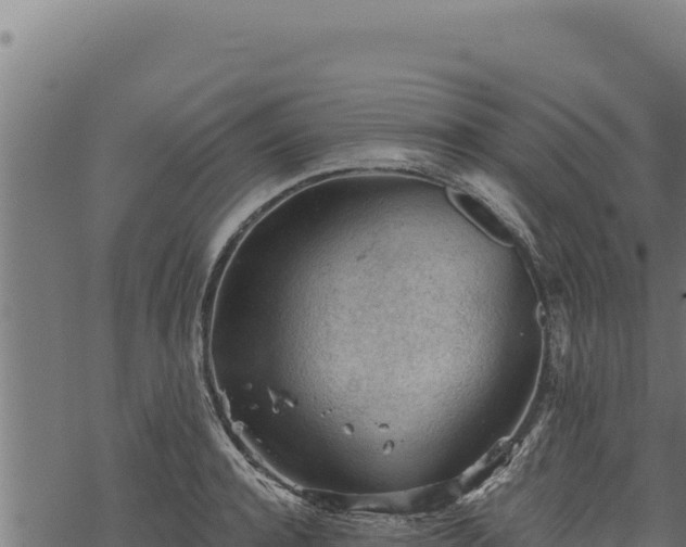 X0000068830944200605121338