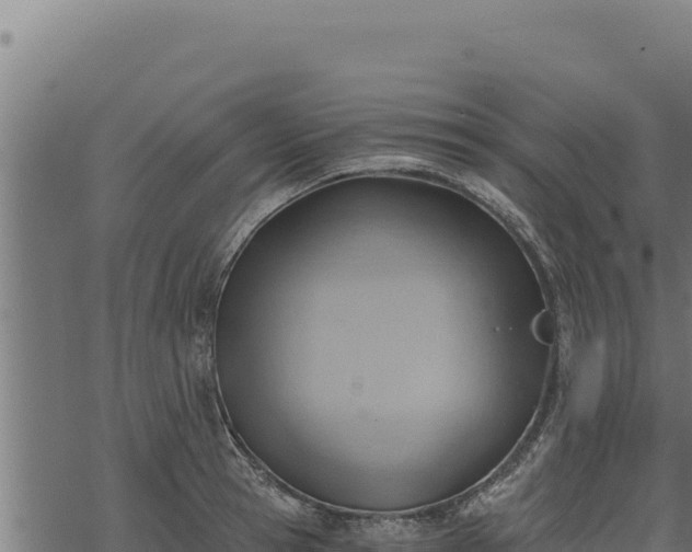 X0000068830945200605121338