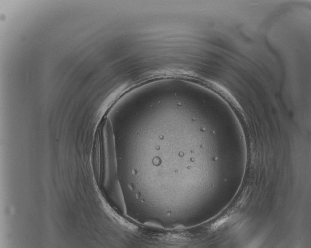 X0000068830946200605121338