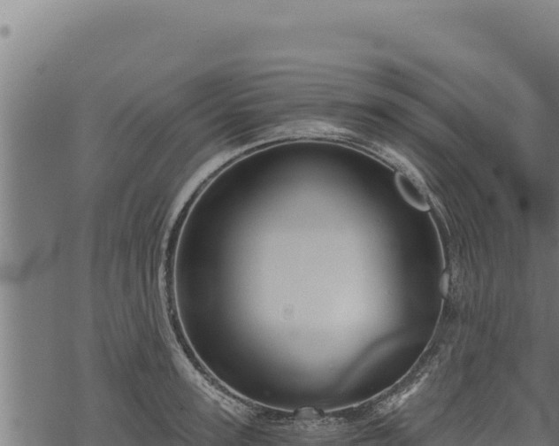 X0000068830947200605121338