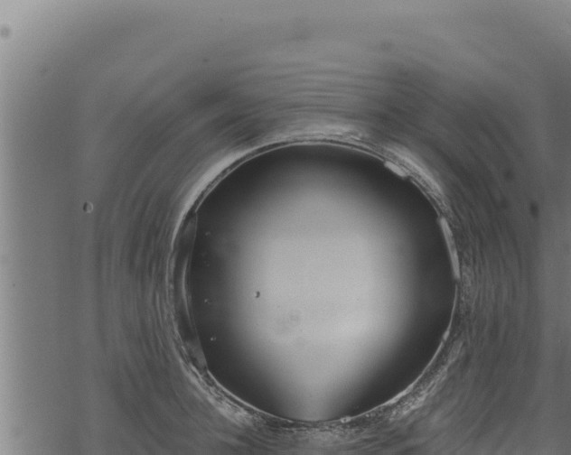 X0000068830948200605121338