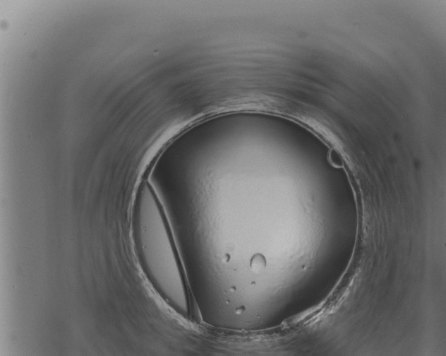 X0000068830949200605121338