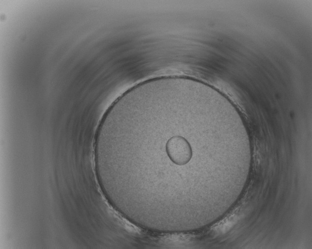 X0000068830950200605121338