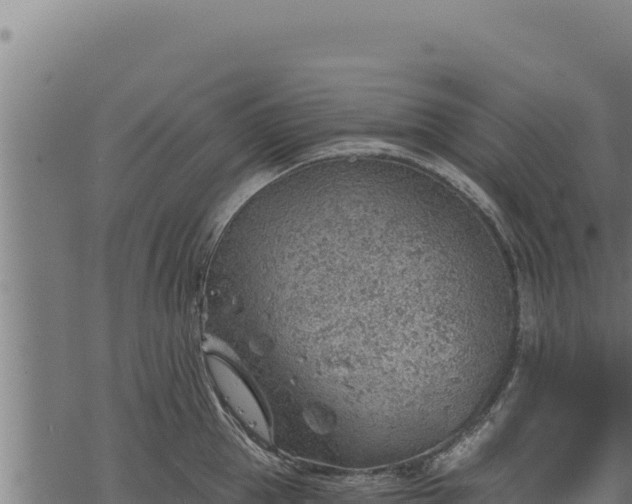 X0000068830953200605121338