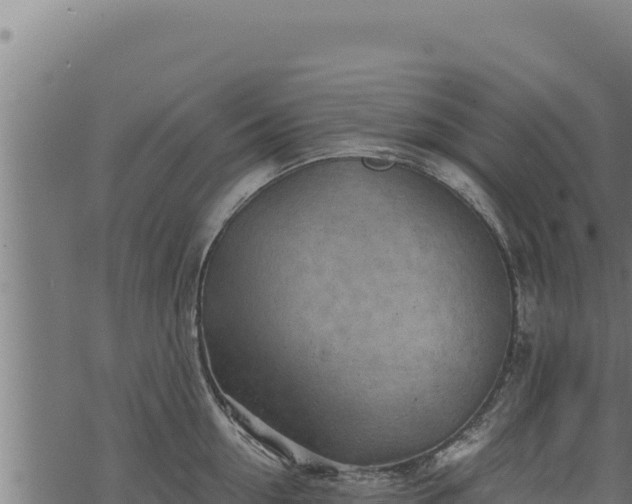 X0000068830954200605121338