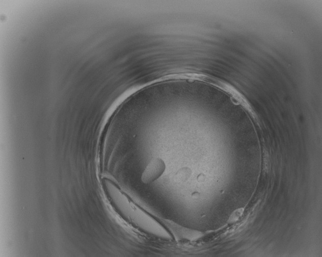 X0000068830955200605121338