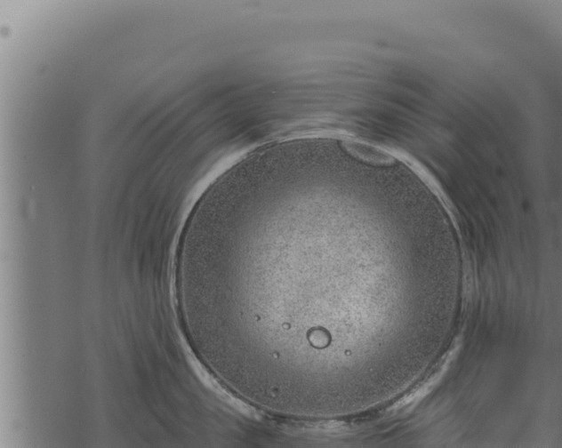 X0000068830957200605121338