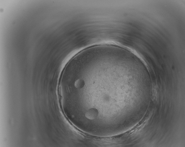 X0000068830959200605121338