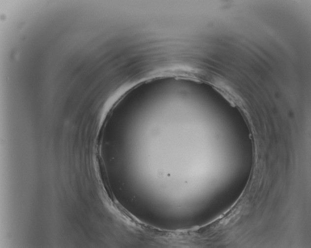 X0000068830960200605121338