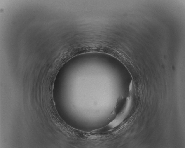 X0000068830961200605121337