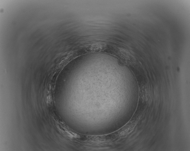 X0000068830962200605121337